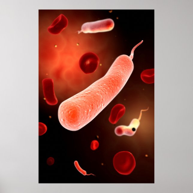 Konceptuell bild av Vibrio Cholerae 2 Poster (Framsidan)