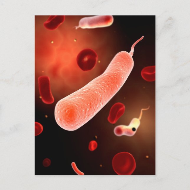 Konceptuell bild av Vibrio Cholerae 2 Vykort (Framsida)