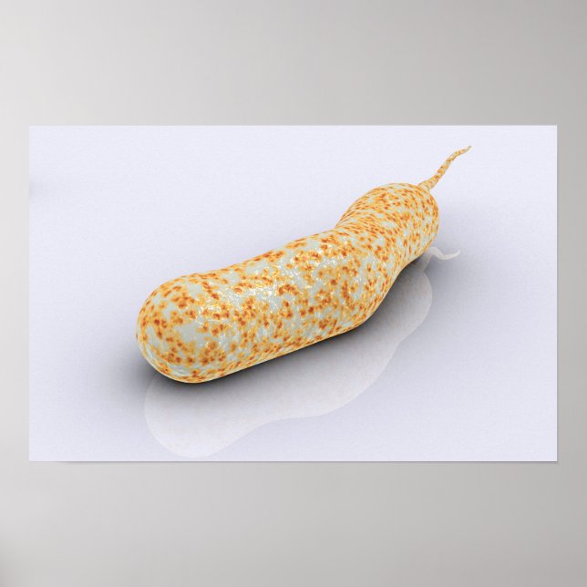Konceptuell bild av Vibrio Cholerae 3 Poster (Framsidan)