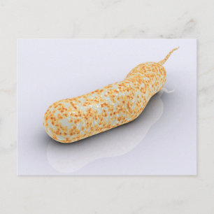 Konceptuell bild av Vibrio Cholerae 3 Vykort