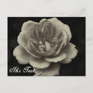 kondoleanskort vykort