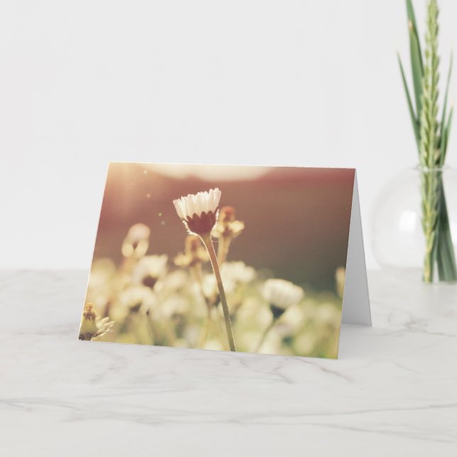 Kondoleanssympati sorg blomma i solen kort (Framsida)