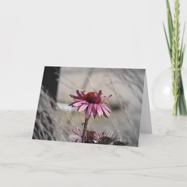 Konefloger Kort (Framsida)