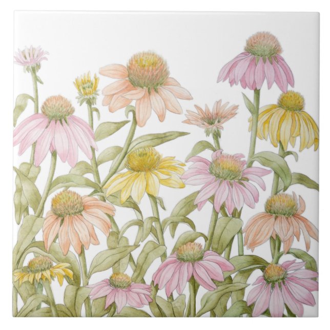 Koneflowers Watercolor Botanical Art Kakelplatta (Framsidan)