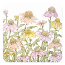 Koneflowers Watercolor Botanical Art Square Sticke