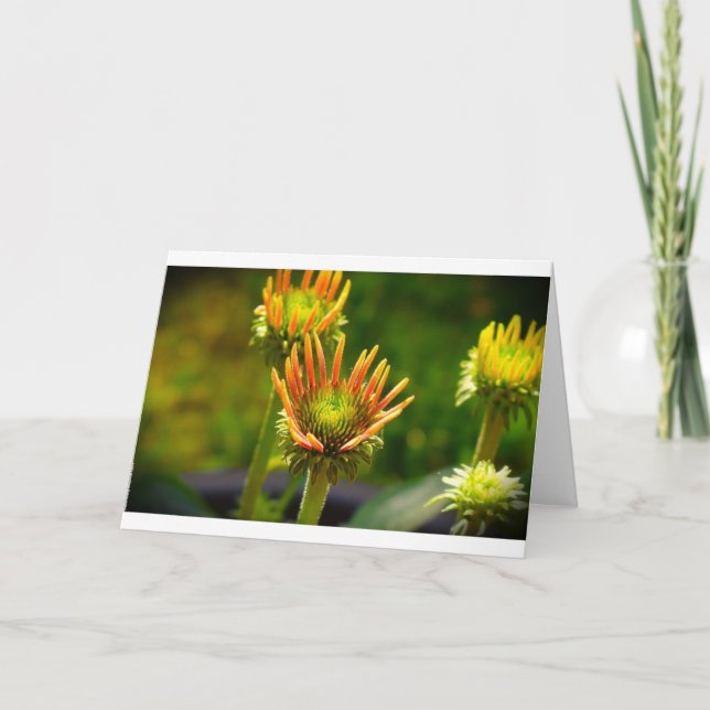 Konfekt, kort (Framsida)