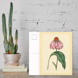 Konfektfri botanisk illustration vykort