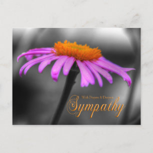 Konferens för Prayers and Sympathy Lila Orange Vykort