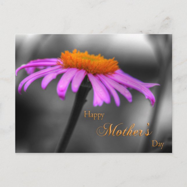 Konferensen för Lila och Orange i mors dag Vykort (Framsida)