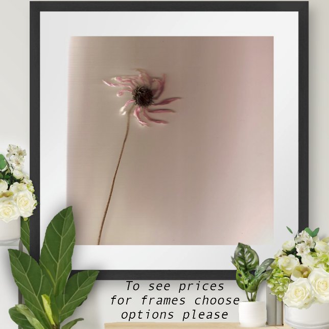 KonFlower Poster (Skapare uppladdad)