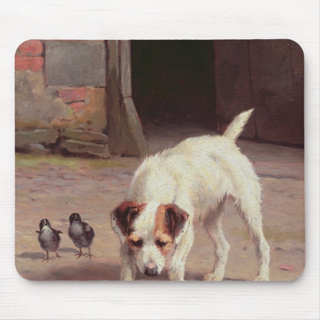 Konfrontation Musmatta (Framsidan)