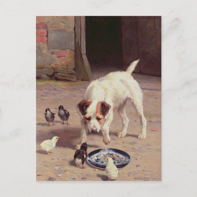 Konfrontation Vykort (Framsida)