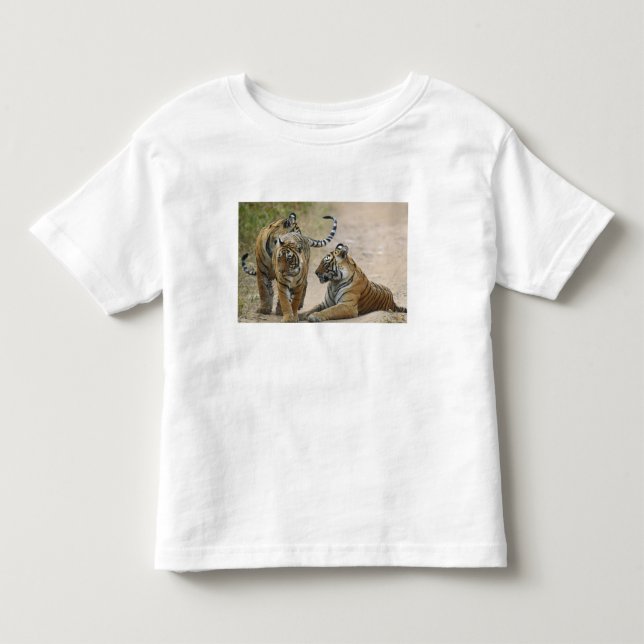Konglig Bengalisk Tiger och ungar, Ranthambhor T Shirt (Framsida)