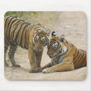 Konglig Bengalisk Tiger och unge - Vidrör framtill Musmatta