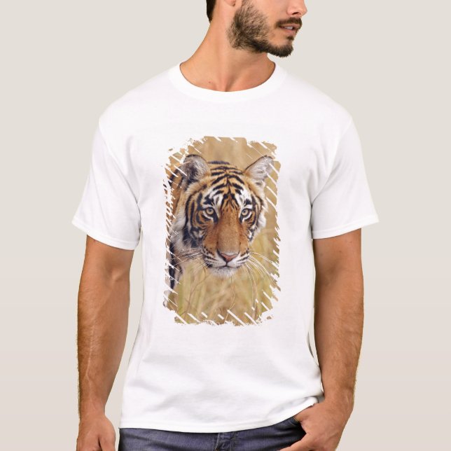 Konglig Bengalisk Tiger T-shirt (Framsida)