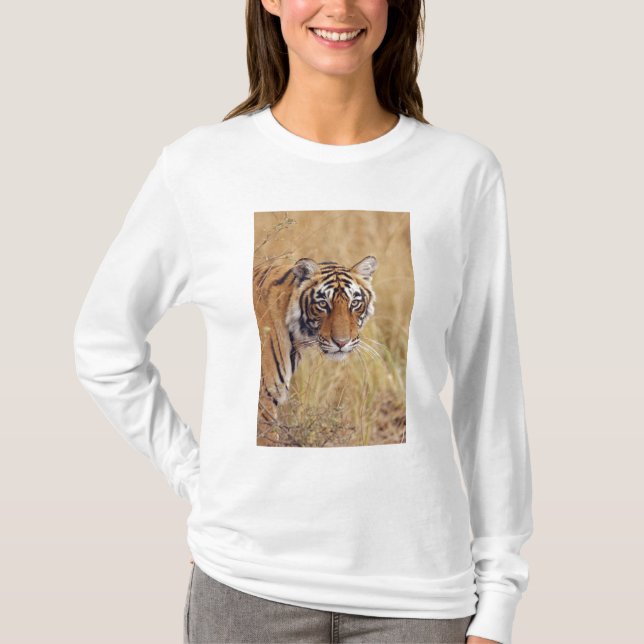 Konglig Bengalisk Tiger T Shirt (Framsida)