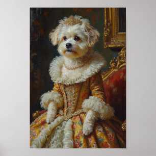 Konglig Coton de Tulear-porträtt Poster