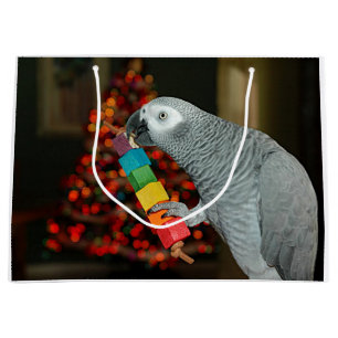 Kongo African Grått Parrot God jul Träd