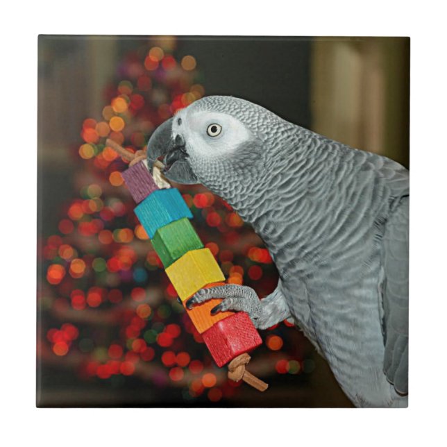 Kongo African Grått Parrot God jul Träd Kakelplatta (Framsidan)