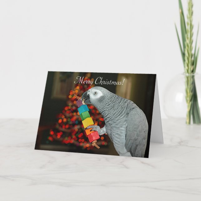 Kongo African Grått Parrot God jul Träd Kort (Framsida)