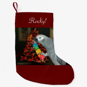 Kongo African Grått Parrot God jul Träd Liten Julstrumpa