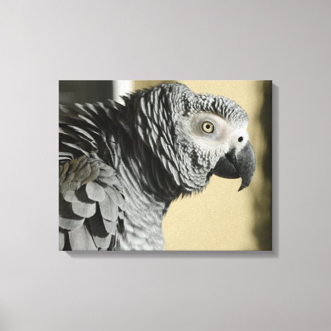 Kongo African Grått Parrot med ruffade fjädrar Canvastryck (Framsida)