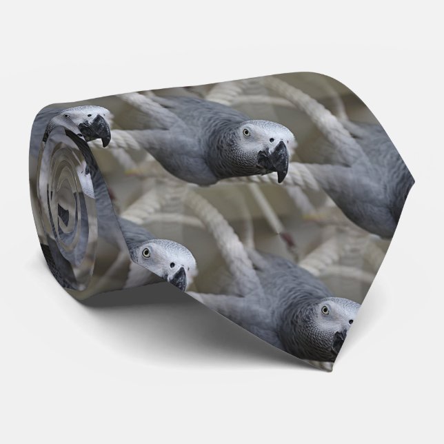 Kongo African Grått Parrot Roligt Slips (Rullad)