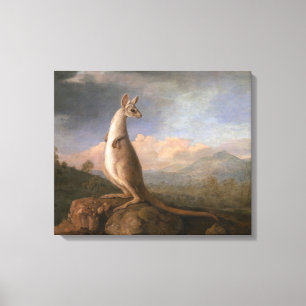 Kongouro från New Holland av George Stubbs Canvastryck
