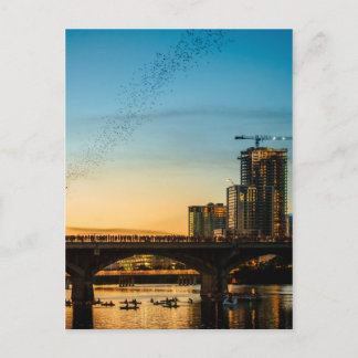 kongressen Avenue Bridge Fladdermus Watching Vykort