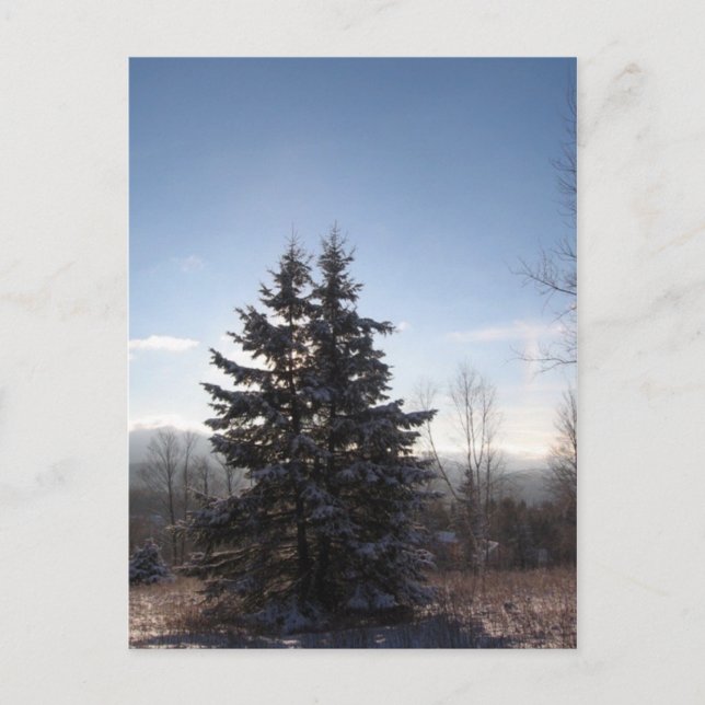 konjak vykort (Framsida)