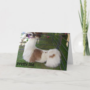 KONKRET LLAMA BIRTHDAY ÖNSKEMÅL KORT