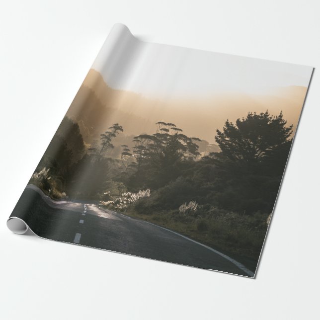 KONKRET VÄG SOM ÖVERFLYTTAS AV TRÄD PRESENTPAPPER (Utrullad)