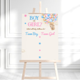 Könsbestämmande Teddybjörn Rosa Blå Röstskylt Poster