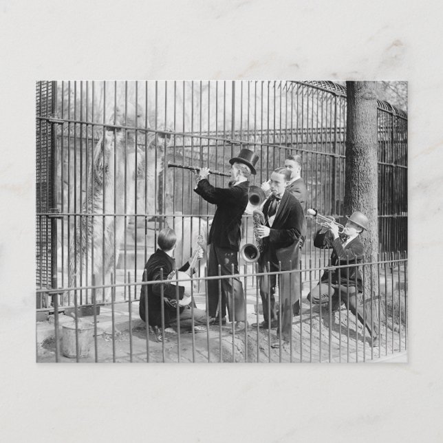Konsert för isbjörnar, 1925 vykort (Framsida)
