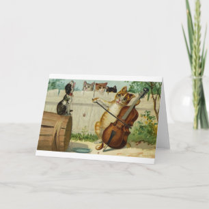Konserten för vintagekattvioloncellen noterar kort