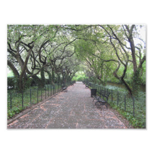 Konservatoriskt trädgårdscentralparkens NYC-fotogr Fototryck