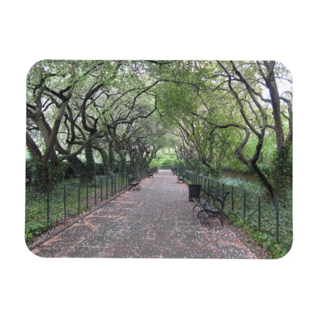 Konservatoriskt trädgårdscentralparkens NYC-fotogr Magnet (Horisontell)