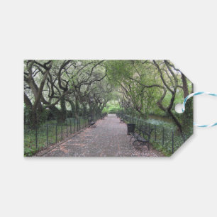 Konservatoriskt trädgårdscentralparkens NYC-fotogr Presentetikett