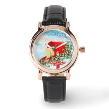 Könsfåglar och rödboxkvinnor i vintertid i snö