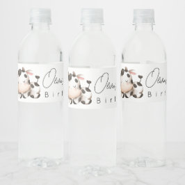 Könsneutral födelsedag vattenflaskor etikett