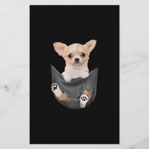 Könsnuny Chihuahua i Pocket Hundar Älskare Brevpapper