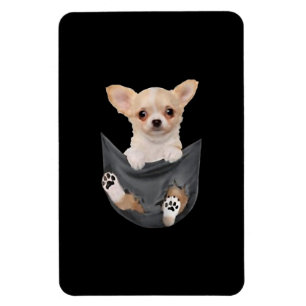 Könsnuny Chihuahua i Pocket Hundar Älskare Magnet