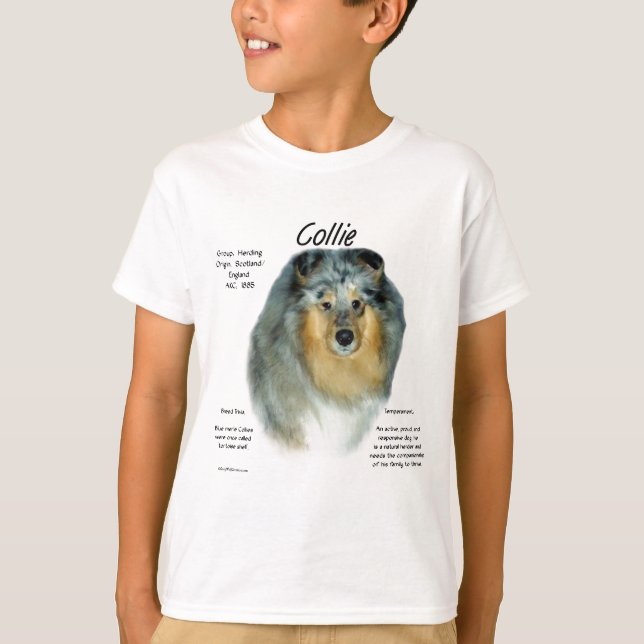 Konsolhistorikdesign (grov sammanslagning) tee (Framsida)