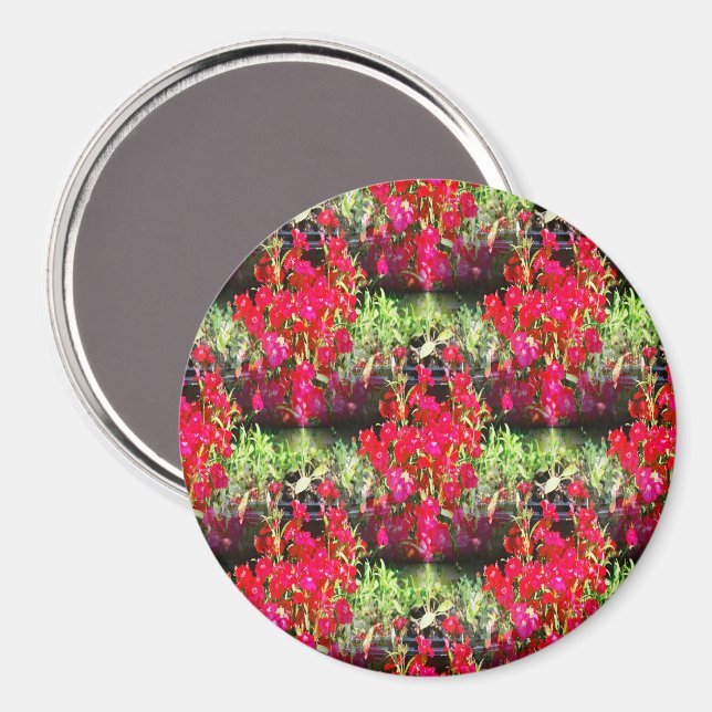 Könsrader... Magnet (Front/Back)