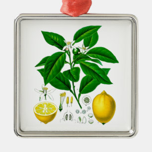 Konst 7 för tryck inte för citrusfruktcitron julgransprydnad metall