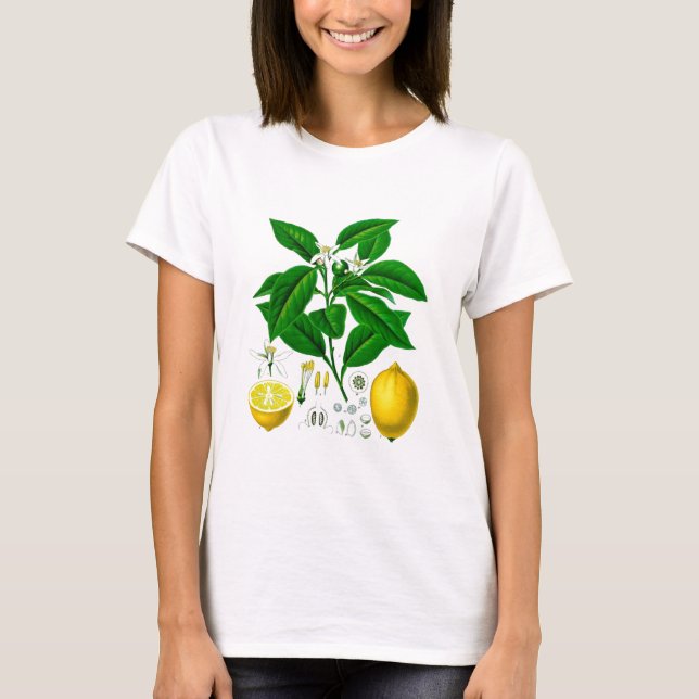 Konst 7 för tryck inte för citrusfruktcitron tee shirt (Framsida)