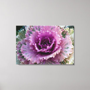 Konst av Kale Closeup Stretched Canvas Wall