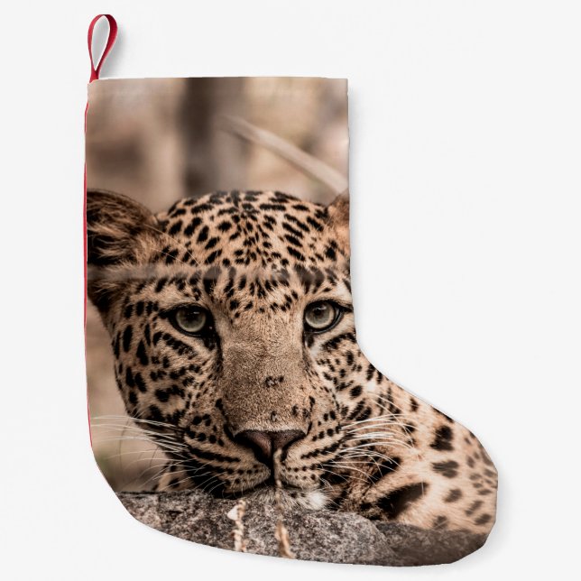 Konst bild av leopard eller pander porträtt liten julstrumpa (Framsidan)