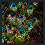 konst deco teal grönt turcoise peacock poster<br><div class="desc">Konst deo teal grönt turquise peacock-lumprumstillbehör. Bohemiska dekorationer för tropiska boskapshus</div>