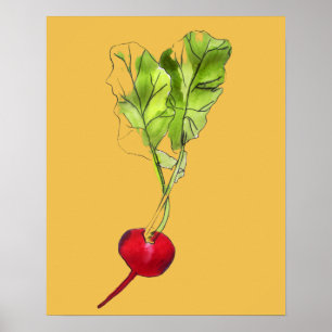 Konst för akvarell för rädisagrönsakillustrati poster